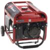 Einhell TC-PG 35/E5 - Generatore di corrente carrellato con AVR 3.1 kW - Continua 2.6 kW Monofase