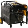 stanley-sg-4200b-generatore-di-corrente-generatore-di-corrente-stanley-sg-4200b-52939_0_1724749929_IMG_66cd986972863.jpg Stanley SG 4200B - Generatore di corrente